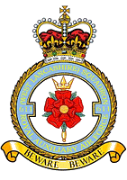611 squadron crest